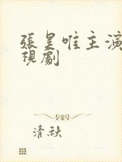 张昊唯主演的电视剧