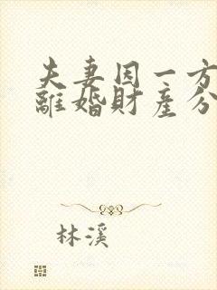 夫妻因一方出轨离婚财产分割
