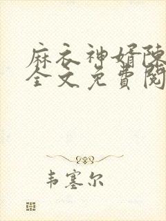 麻衣神婿陈黄皮全文免费阅读作者封面