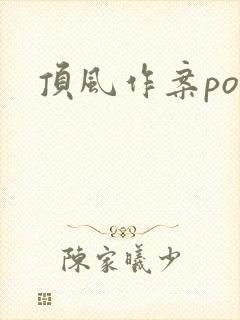 顶风作案po封面
