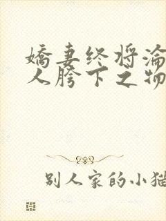 娇妻终将沦为他人胯下之物txt封面