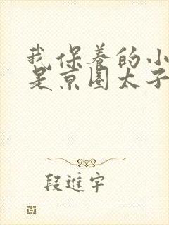 我保养的小白脸是京圈太子爷短剧