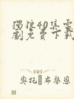 独狼40集电视剧免费下载观看封面