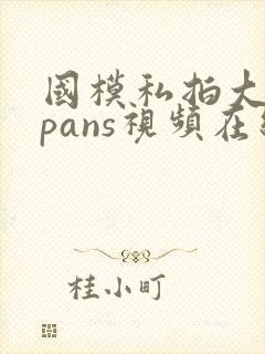国模私拍大尺度pans视频在线