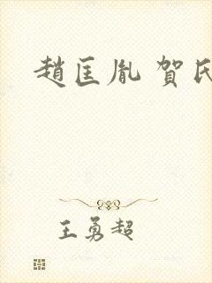 赵匡胤 贺氏封面