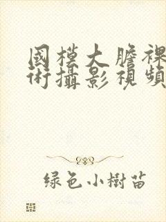 国模大胆裸体艺术摄影视频封面