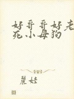 好哥哥好老公操死小母狗