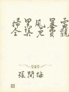 扫黑风暴电视剧全集免费观看完整版