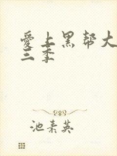 爱上黑帮大佬第三季
