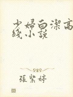 少妇白洁高义在线小说