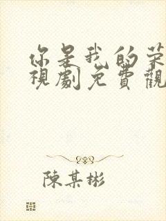 你是我的荣耀电视剧免费观看高清完整版