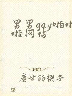 男男gay啪啪啪网站