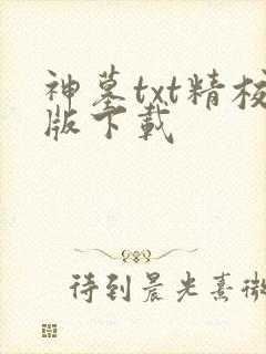 神墓txt精校版下载