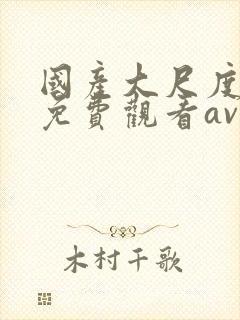 国产大尺度在线免费观看av