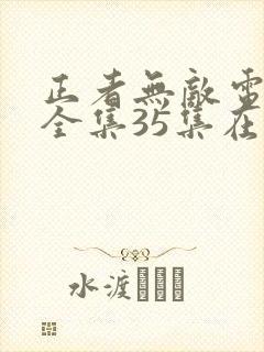 正者无敌电视剧全集35集在线播放