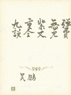 九重紫无弹窗小说全文免费阅读