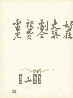 电视剧大好时光免费全集在线观看
