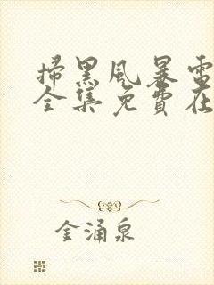扫黑风暴电视剧全集免费在线观看封面