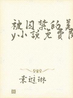 被囚禁的美人by小说免费阅读封面