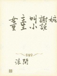 女主叫谢婉宁的重生小说