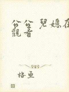 公公 儿媳在线观看封面