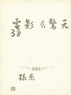 电影《惊天营救3》封面