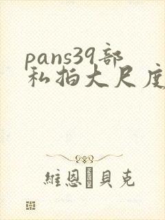 pans39部私拍大尺度模特内部