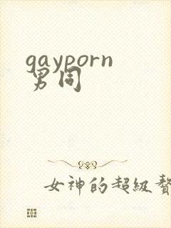 gayporn男同封面