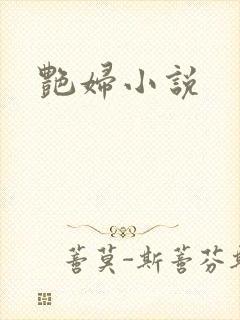 艳妇小说