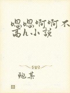 嗯嗯啊啊不要啊高h小说