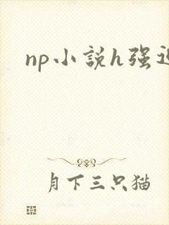 np小说h强迫封面