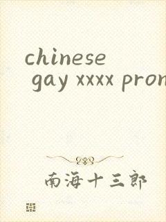 chinese gay xxxx pron twink封面