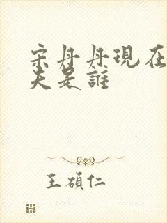 宋丹丹现在的丈夫是谁封面