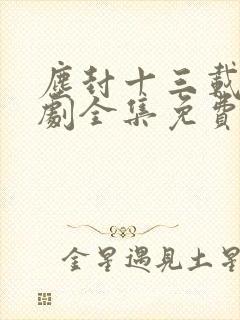尘封十三载电视剧全集免费