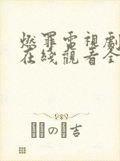燃罪电视剧免费在线观看全集