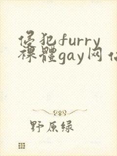 侵犯furry裸体gay网站
