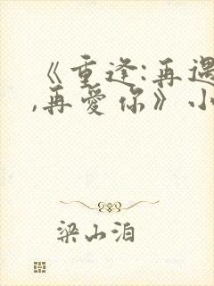 《重逢:再遇你,再爱你》小说