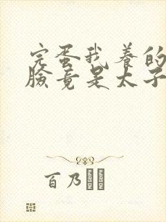 完蛋我养的小白脸竟是太子爷短剧封面