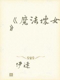 《魔法坏女巫2》