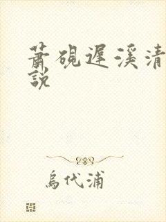 萧砚迟溪清梦小说封面