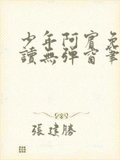 少年阿宾免费阅读无弹窗笔趣阁