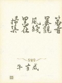 扫黑风暴第25集在线观看