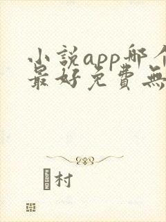 小说app哪个最好免费无广告