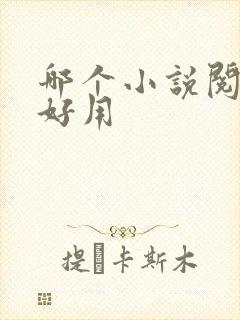 哪个小说阅读器好用
