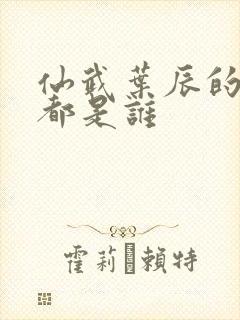 仙武叶辰的老婆都是谁