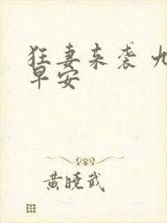 狂妻来袭 九爷早安封面