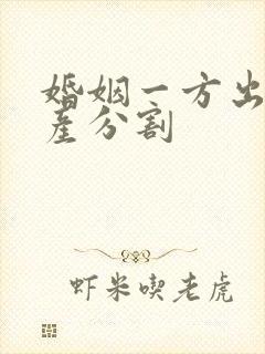 婚姻一方出轨财产分割