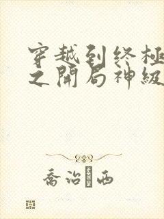 穿越到终极斗罗之开局神级
