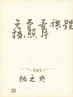 免费看裸体无遮挡,照片