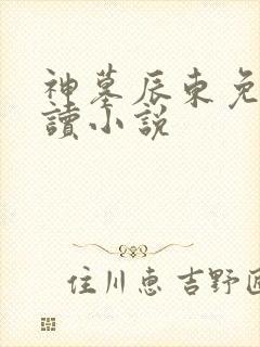 神墓辰东免费阅读小说